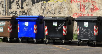 Cassonetti dei rifiuti