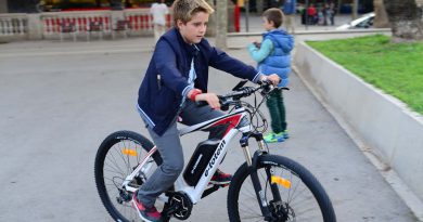 Biciclette elettriche e a pedalata assistita