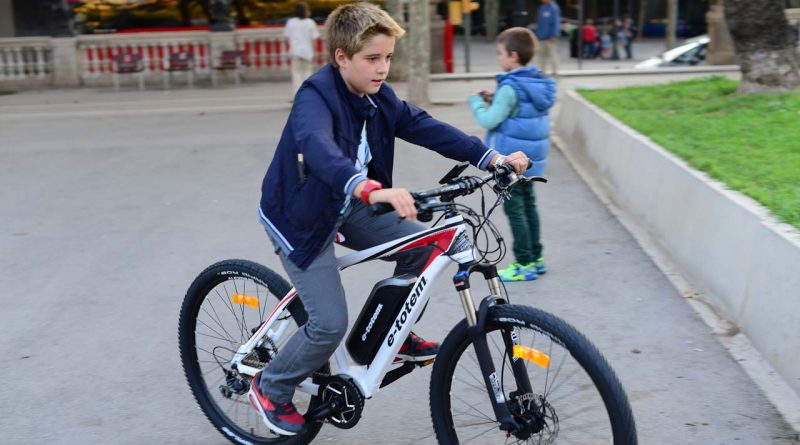 Biciclette elettriche e a pedalata assistita