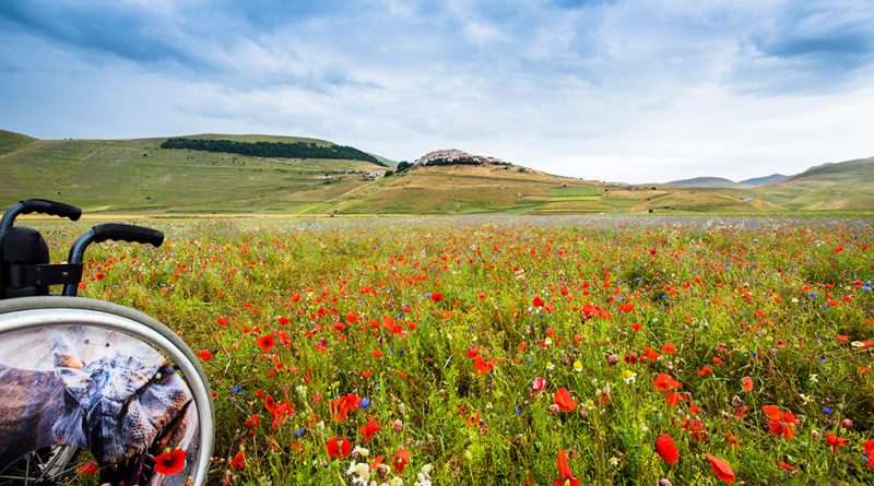 Castelluccio di Norcia - Massimo Mattesini