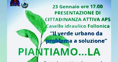 Il verde urbano da problema a soluzione